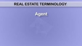 What is the definition of an agent?