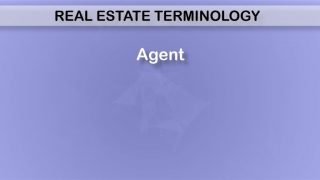 What is the definition of an agent?